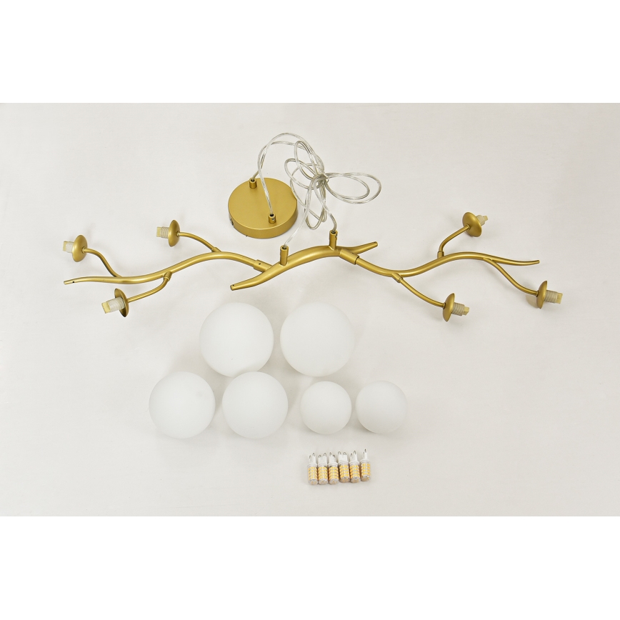 Brilagi - LED Chandelier on a string MISTEL 6xG9/3W/230V gold/white