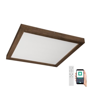 Brilagi - LED Dimmable bathroom ceiling light WOODY FRAME LED/50W/230V oak walnut 60x60 cm 3000-6000K IP44 + remote control