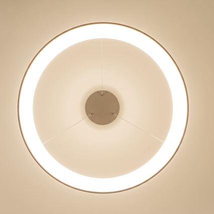 BRILAGI - LED Dimmable pendant light on cable FALCON II LED/108W/230V 3000-6500K Ø 80 cm beige + remote control