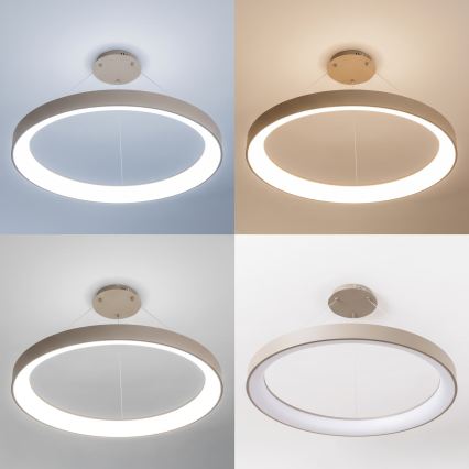 BRILAGI - LED Dimmable pendant light on cable FALCON II LED/108W/230V 3000-6500K Ø 80 cm beige + remote control