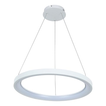 Brilagi - LED dimmable cable-hung pendant FALCON SLIM LED/42W/230V 3000-6500K Ø 50 cm white + remote control