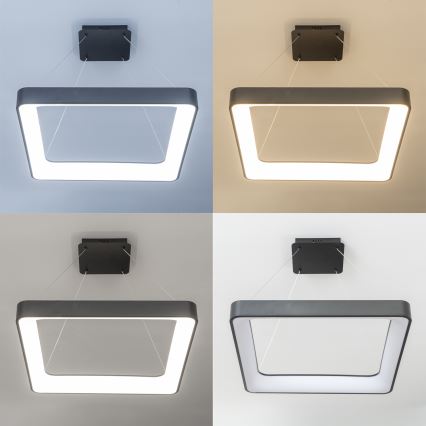 Brilagi - FALCON II LED dimmable pendant chandelier suspended on cable LED/125W/230V 3000-6500K 60x60 cm black + remote control