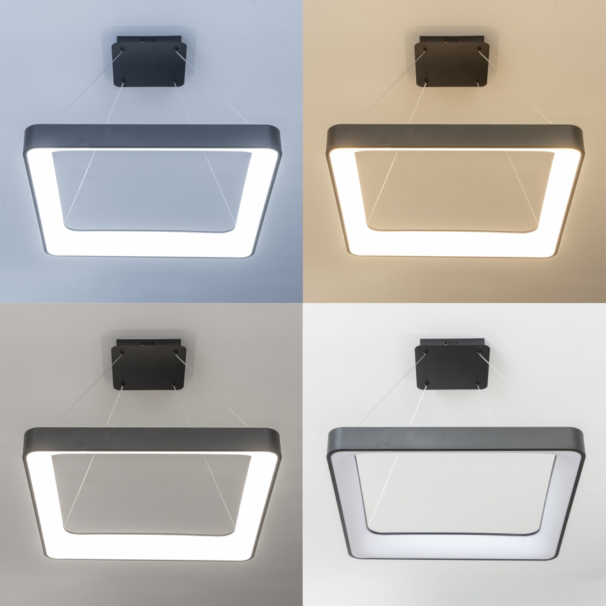 Brilagi - FALCON II LED dimmable pendant chandelier suspended on cable LED/125W/230V 3000-6500K 60x60 cm black + remote control