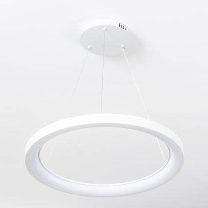Brilagi - LED dimmable pendant on cable FALCON SLIM LED/42W/230V 3000-6500K Ø 50 cm white + remote control
