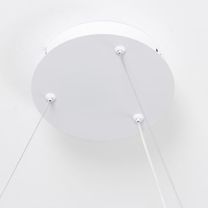 Brilagi - LED dimmable pendant on cable FALCON SLIM LED/42W/230V 3000-6500K Ø 50 cm white + remote control