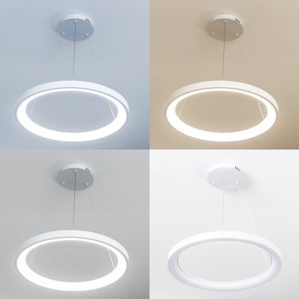 Brilagi - LED dimmable pendant on cable FALCON SLIM LED/42W/230V 3000-6500K Ø 50 cm white + remote control