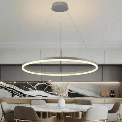 Brilagi - Dimmable LED Cable Pendant CIRCLE LED/55W/230V 3000-6500K Ø 80 cm Silver + Remote Control