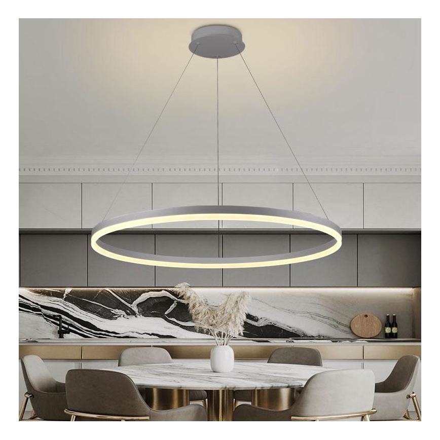 Brilagi - Dimmable LED Cable Pendant CIRCLE LED/55W/230V 3000-6500K Ø 80 cm Silver + Remote Control