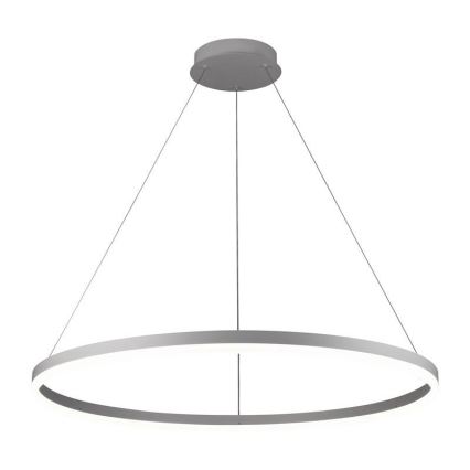 Brilagi - Dimmable LED Cable Pendant CIRCLE LED/55W/230V 3000-6500K Ø 80 cm Silver + Remote Control