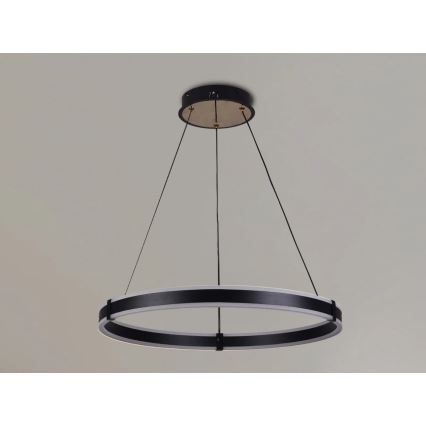 Brilagi - CIRCLE LED dimmable cable-suspended pendant light LED/85W/230V 3000-6500K Ø 60 cm black/gold + remote control