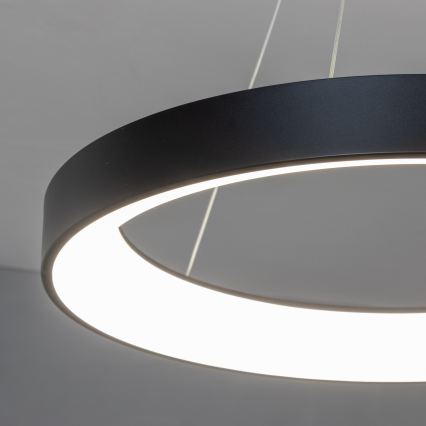 Brilagi - LED Dimmable Cable-Suspended Pendant FALCON II LED/99W/230V 3000-6500K Ø 60 cm Black + Remote Control