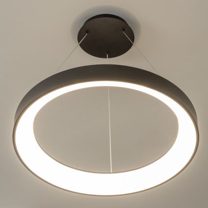 Brilagi - LED Dimmable Cable-Suspended Pendant FALCON II LED/99W/230V 3000-6500K Ø 60 cm Black + Remote Control
