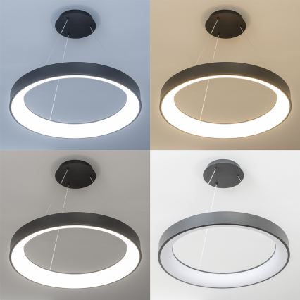 Brilagi - LED Dimmable Cable-Suspended Pendant FALCON II LED/99W/230V 3000-6500K Ø 60 cm Black + Remote Control