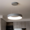 Brilagi - LED Dimmable Cable-Suspended Pendant FALCON LED/80W/230V 3000-6500K Ø 60 cm grey + remote control