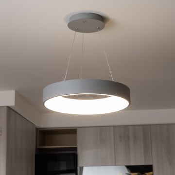 Brilagi - LED Dimmable Cable-Suspended Pendant FALCON LED/80W/230V 3000-6500K Ø 60 cm grey + remote control