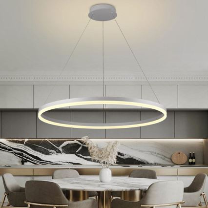 Brilagi - CIRCLE Dimmable LED Cable Pendant Light 55W/230V 3000-6500K + Remote Control