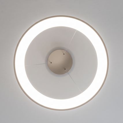 BRILAGI - Dimmable LED cable-suspended pendant FALCON II LED/99W/230V 3000-6500K Ø 60 cm beige + remote control