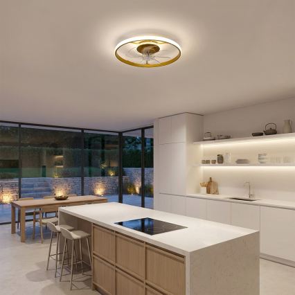 Brilagi - Dimmable LED Ceiling Fan LED/66W/230V 55 cm White/Gold + Remote Control