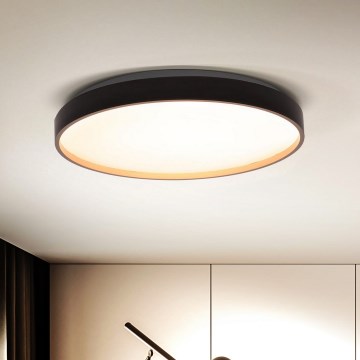 Brilagi - LED Dimmable ceiling light CALA LED/48W/230V 3000-6500K d. 38 cm + remote control