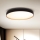 Brilagi - LED Dimmable ceiling light CALA LED/48W/230V 3000-6500K d. 38 cm + remote control