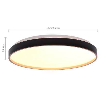Brilagi - CALA Dimmable LED Ceiling Light LED/60W/230V 3000-6500K Ø58 cm + Remote Control
