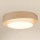 Brilagi - LED Dimmable ceiling light DOVER SHINE LED/24W/230V 3000/4000/6500K grey/creamy + remote control