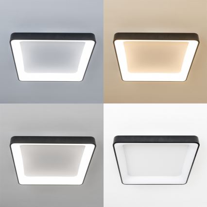 Brilagi - Dimmable LED Ceiling Light FALCON II LED/125W/230V 3000-6500K 60x60 cm black + remote control