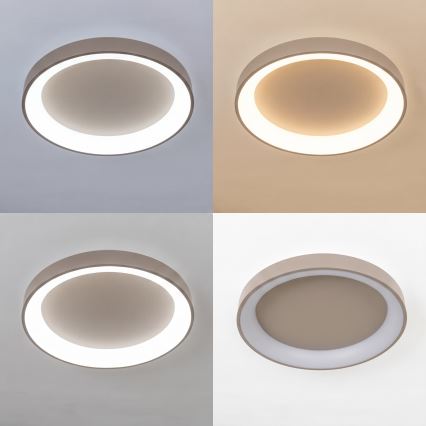 BRILAGI - Dimmable LED ceiling light FALCON II LED/99W/230V 3000-6500K Ø 60 cm beige + remote control