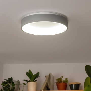 Brilagi - LED Dimmable ceiling light FALCON LED/80W/230V 3000-6500K d. 60 cm grey + remote control