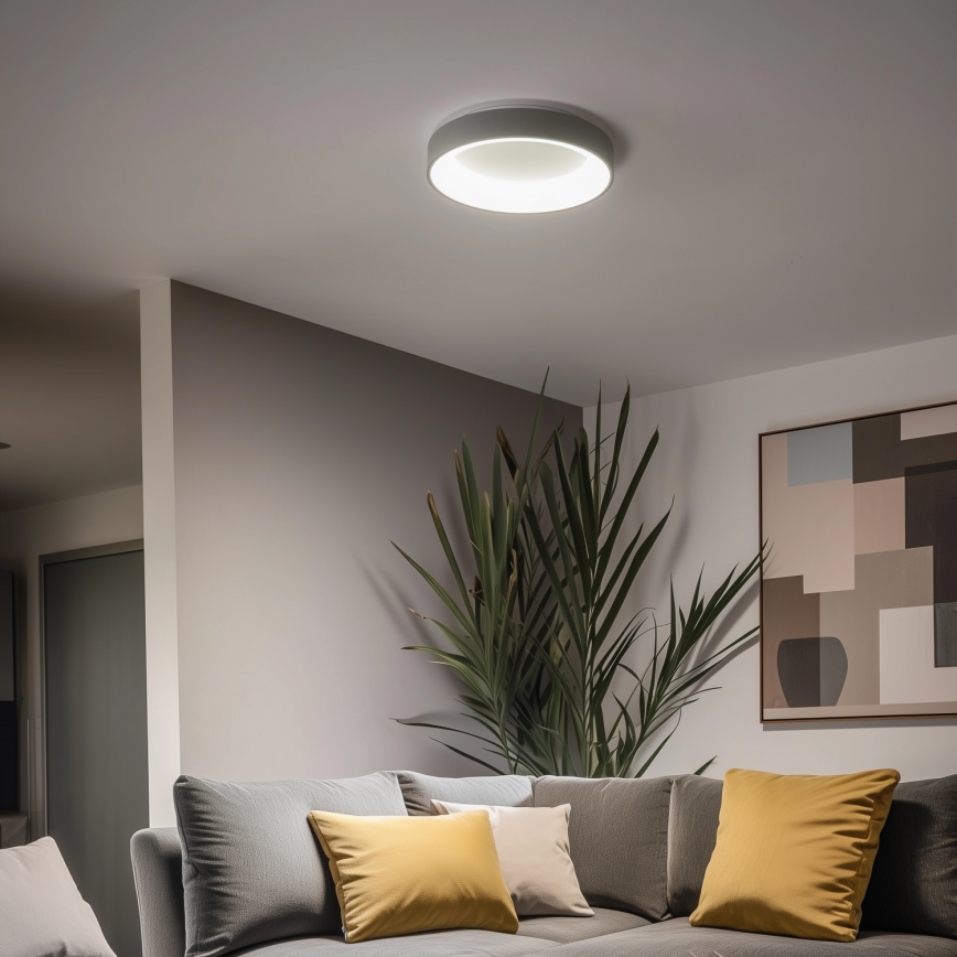 Brilagi - LED Dimmable ceiling light FALCON LED/80W/230V 3000-6500K d. 60 cm grey + remote control