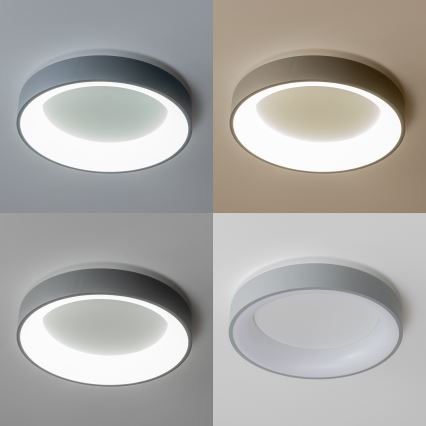 Brilagi - Dimmable FALCON LED Ceiling Light 80W/230V 3000-6500K Ø 60 cm gray + remote control