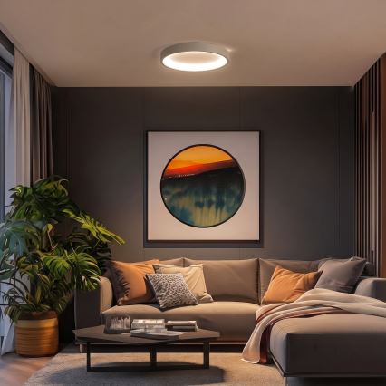 BRILAGI - LED Dimmable ceiling light FALCON SLIM LED/42W/230V 3000-6500K Ø 50 cm white/beige + remote control