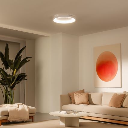 Brilagi - FALCON SLIM LED Dimmable Ceiling Light LED/42W/230V 3000-6500K Ø 50 cm White + Remote Control