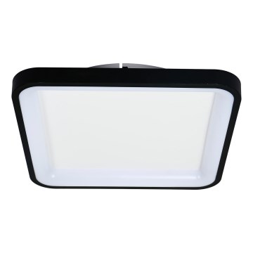 Brilagi - LED Dimmable Ceiling Light FALCON SLIM LED/50W/230V 3000-6500K 50x50 cm Black + Remote Control
