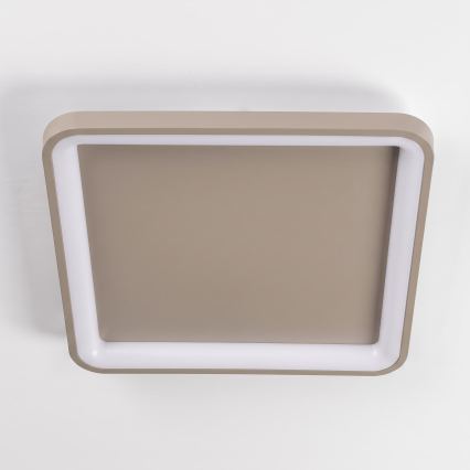 BRILAGI - Dimmable LED ceiling light FALCON SLIM LED/50W/230V 3000-6500K 50x50 cm beige + remote control