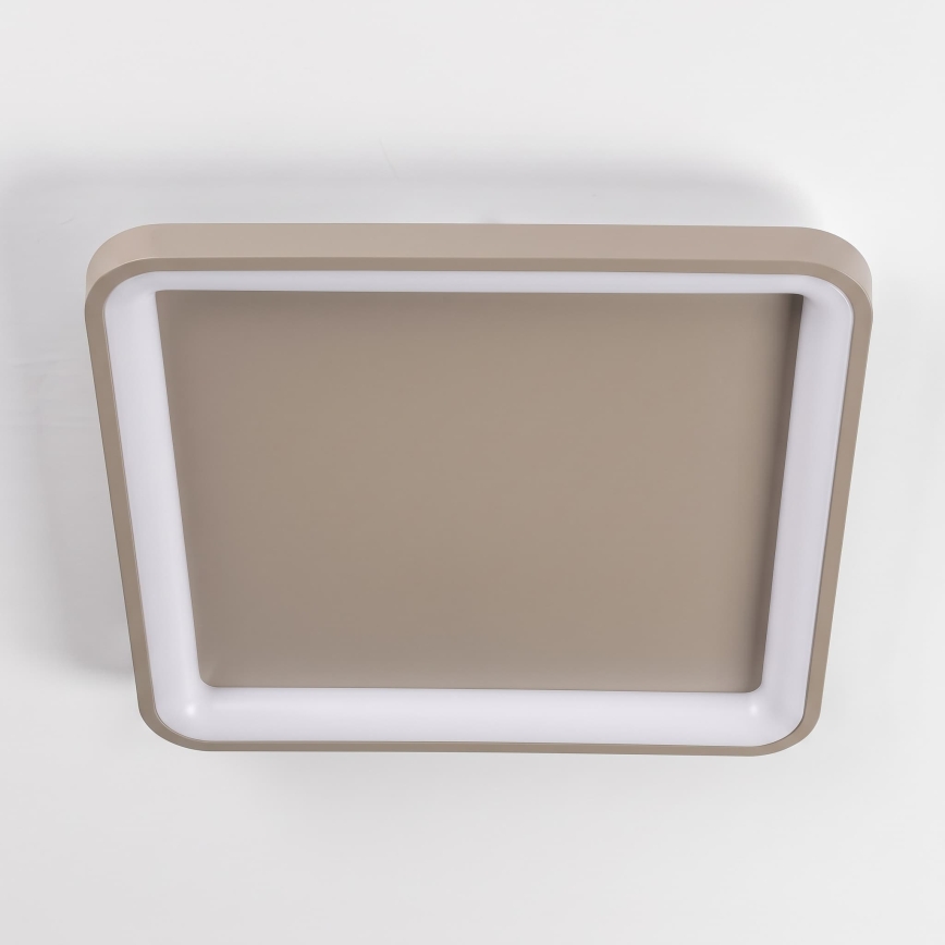 BRILAGI - Dimmable LED ceiling light FALCON SLIM LED/50W/230V 3000-6500K 50x50 cm beige + remote control