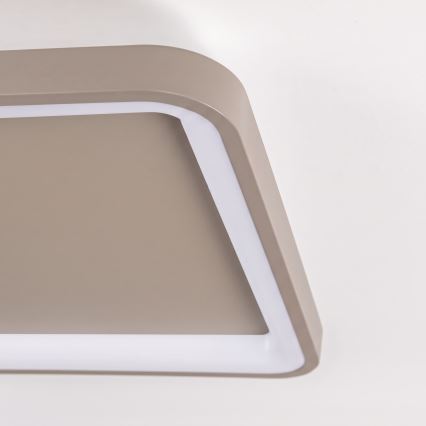 BRILAGI - Dimmable LED ceiling light FALCON SLIM LED/50W/230V 3000-6500K 50x50 cm beige + remote control