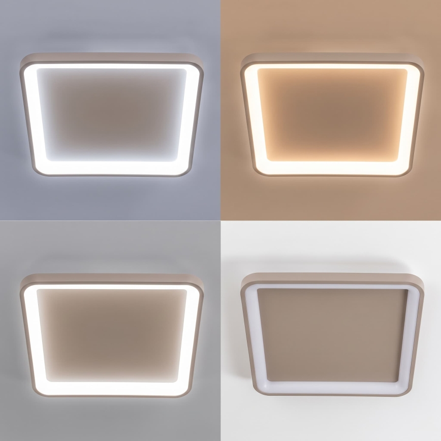 BRILAGI - Dimmable LED ceiling light FALCON SLIM LED/50W/230V 3000-6500K 50x50 cm beige + remote control
