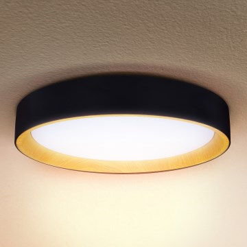 Brilagi - LED Dimmable ceiling light LARIOS LED/48W/230V 3000-6500K ø 39 cm black + remote control
