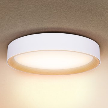 Brilagi - LED Dimmable ceiling light LARIOS LED/60W/230V 3000-6500K ø 49 cm white + remote control