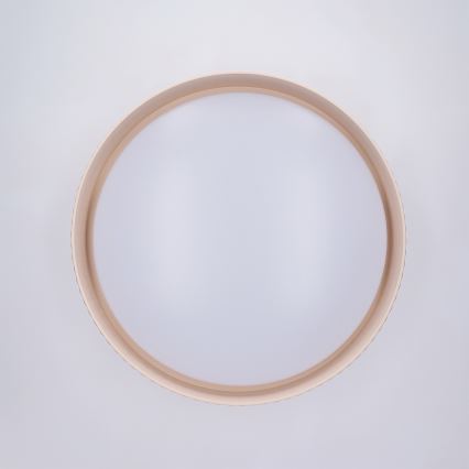 Brilagi - LUCIA Dimmable LED Ceiling Light LED/48W/230V 3000-6500K, 41 cm Diameter, Beige + Remote Control