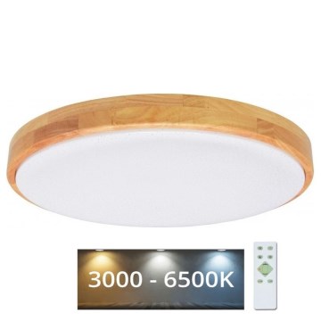 Brilagi - LED Dimmable ceiling light PINE LED/60W/230V 3000-6500K + remote control