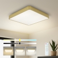 Brilagi - LED Dimmable Ceiling Light POOL LED/36W/230V 3000-6000K 40x40 cm Gold + Remote Control