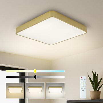 Brilagi - LED Dimmable Ceiling Light POOL LED/36W/230V 3000-6000K 40x40 cm Gold + Remote Control