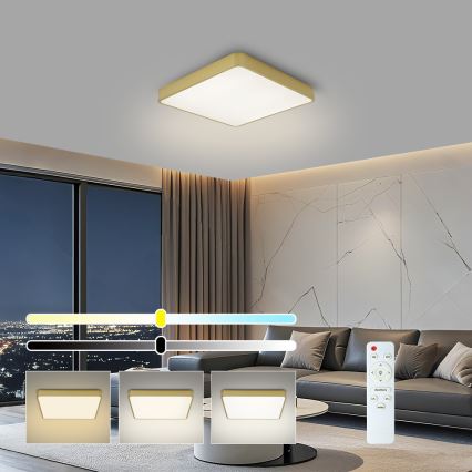 Brilagi - LED Dimmable Ceiling Light POOL LED/36W/230V 3000-6000K 40x40 cm Gold + Remote Control