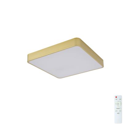Brilagi - LED Dimmable Ceiling Light POOL LED/36W/230V 3000-6000K 40x40 cm Gold + Remote Control