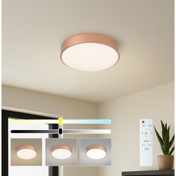 BRILAGI - LED Dimmable ceiling light POOL LED/36W/230V 3000-6000K Ø 30 cm copper finish + remote control