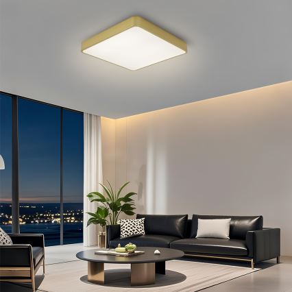 Brilagi - Dimmable POOL LED Ceiling Light LED/48W/230V 3000-6000K 50x50 cm Gold + Remote Control