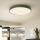 Brilagi - LED Dimmable Ceiling Light POOL LED/60W/230V 3000-6000K 50 cm diameter green + remote control