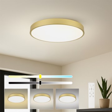 Brilagi - LED Dimmable Ceiling Light POOL SMART LED/100W/230V 3000-6000K 80 cm Gold Wi-Fi Tuya + Remote Control